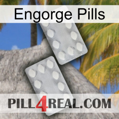 Engorge Pills 17